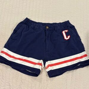 Chubbies Navy and Red Men's Shorts